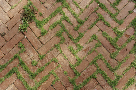 Texture of walkway, red bricks walkwayの写真素材