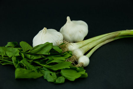 Onions, garlic and loveage isolated on dark gray background.の写真素材