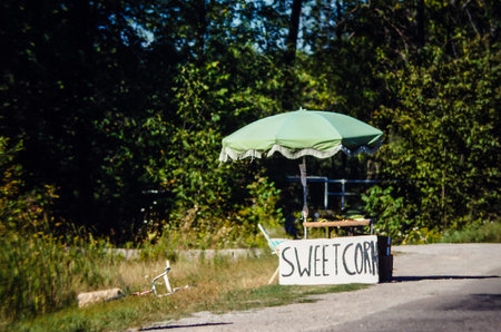 Country roadside summer vegetable stand with an umbrella and a bicycle laying nearby.