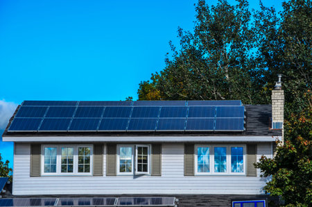 Solar panels on a suburban house rooftop with trees and blue sky background