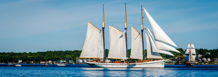 Panorama of two Tall Ships in full sail along the St. Lawrence River with the New York State coastline in the distance.の写真素材