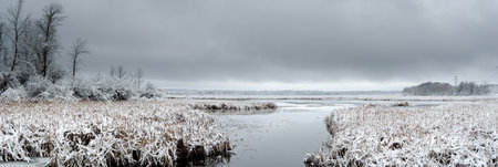 Panorama of a frozen wetland in winter under a dark December sky