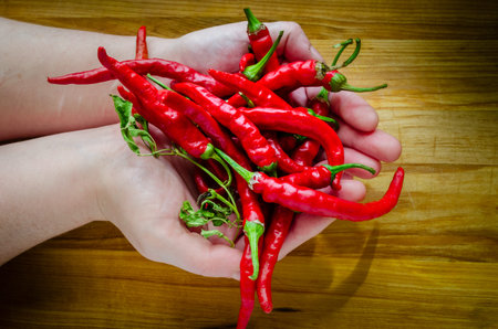 Young hands holding a heap of fresh-picked red chili peppers over a wooden cutting board.