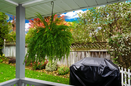 Hanging Boston Fern and barbecue in an autumn backyard