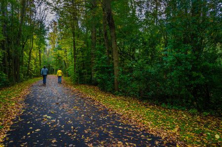 Two people walking away down a leaf covered walkway in the autumn