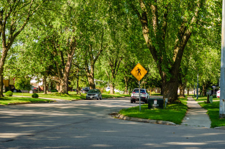Summer view of a corner of a suburban tree lined shady street with a people crossing signの写真素材