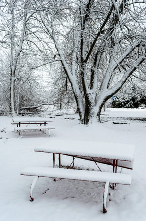 where it was shot, time of day, technique, look, angle, concepts depicted, or other specific subject detailsの写真素材