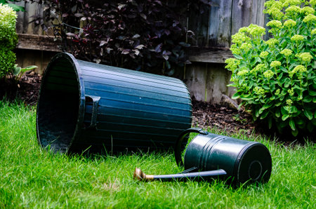 Empty garbage pail and watering can on their sides in a fenced backyard with shrubsの写真素材