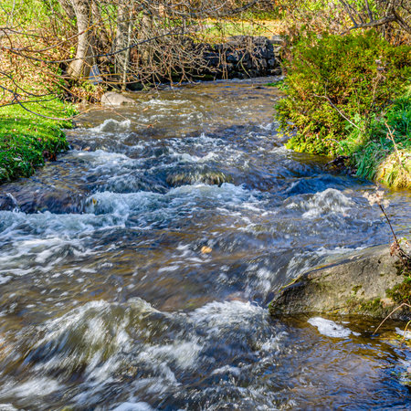 Rushing shallow rocky creek with whitewater in the fallの写真素材