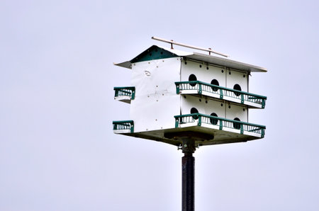 Close-up view of a white purple martin multi-nest birdhouse, against a clear gray skyの写真素材