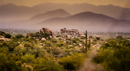 Arizona southwest desert scrub brush with rows of hazy mountains in the background under a yellow sky.の写真素材