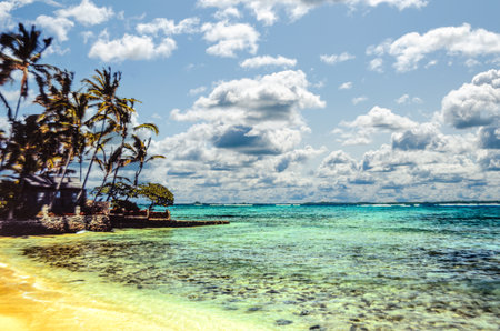 Coastal stone building with palm trees on a Hawaiian coast under a cloudy sky, on a sunny day with turquoise waterの写真素材