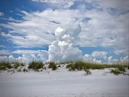 Sandy beach with cloudy skiesの写真素材