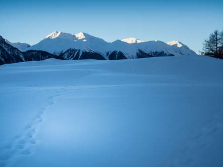 Traces in the fresh snow, Engadine, Switzerlandの写真素材