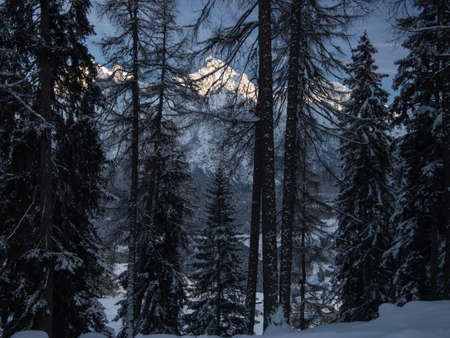 Looking throuh the winter forest at the Piz Lischana,Engadine, Switzerlandの写真素材
