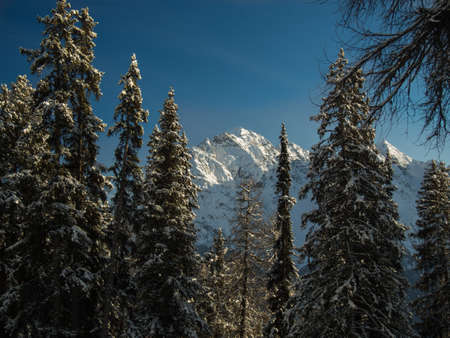 The snowy peaks of the sesvenna mountain group in the Engadine, Switzerlandの写真素材