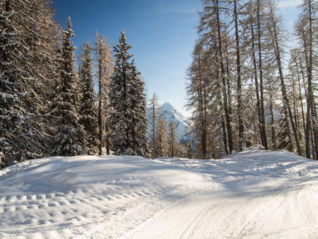 Ski run with the panorama of the Sesvenna mountain group,Engadine, Switzerlandの写真素材