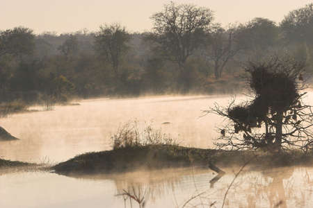 Sunrise with mist on the waterの写真素材