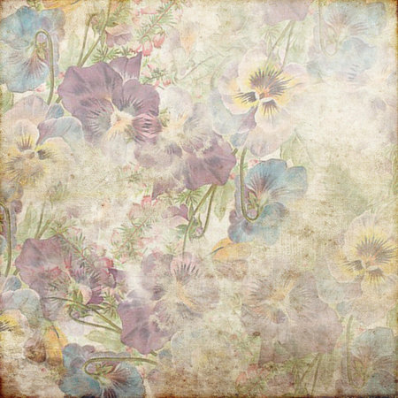 Vintage Grunge Shabby Background 136の写真素材