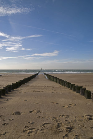 Beach with wooden poles on a beach in Zeeland,Netherlandsの写真素材
