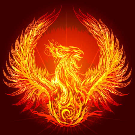 Illustration with burning phoenix drawn in heraldic styleのイラスト素材