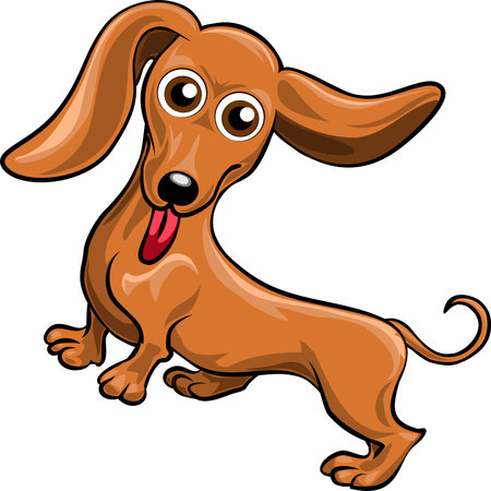 Funny illustration with dachshund drawn in cartoon styleのイラスト素材