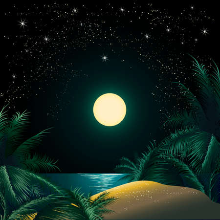 illustration of the tropical island sandy coast and palm trees against the quiet sea and the clear star skyのイラスト素材