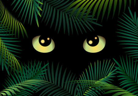 Wild Cat eyes in dark night forest.のイラスト素材