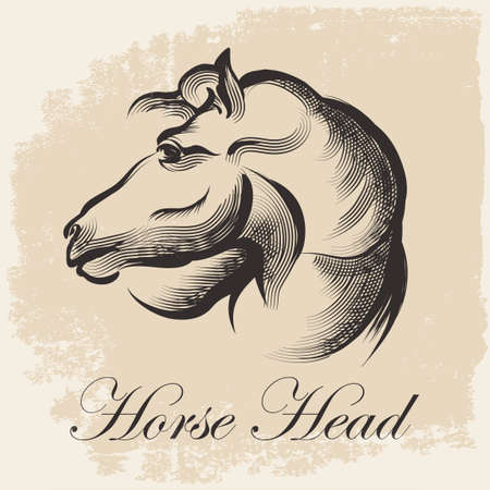 Sketch of Horse Head drawing in retro ink styleのイラスト素材