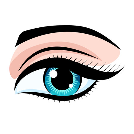 Beautiful big eye of a woman with long lashes. Makeup, brown cosmetic shadows. Beauty, image, beauty. Women's style. blue eyes. vector illustration.のイラスト素材