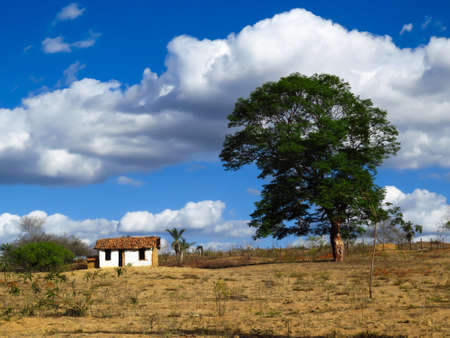 small farm burdened by lack of rain in the region,の写真素材