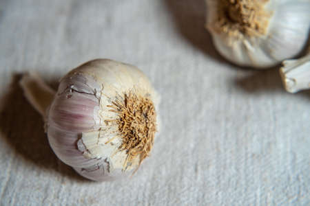Garlic on linen fabric background. Close Upの写真素材