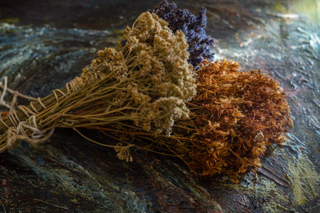 Bunches of medicinal herbs. Herbal medicine. Close up.