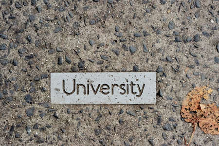 University sign on the with autumn leaf. Close upの写真素材