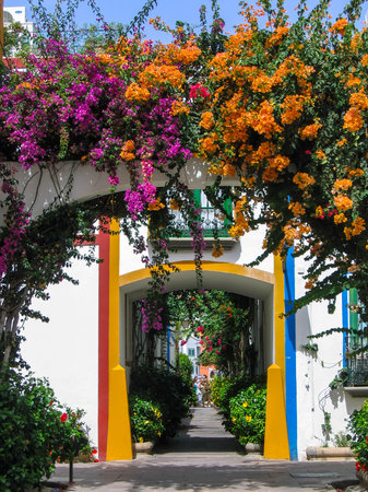 Typical house facade and street in the port of Puerto de Mogan, Spainのeditorial素材