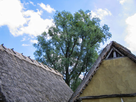 Unteruhldingen style houses on Lake Constanceのeditorial素材