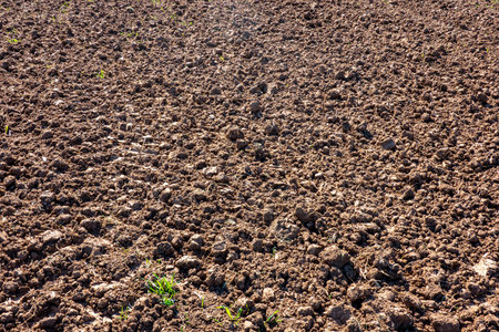 Agricultural field with harrowed soil
