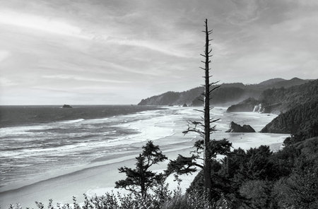 Lonely beach with surf on the Oregon Coast.の写真素材