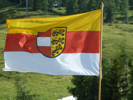 Carinthian flag of Austriaの写真素材