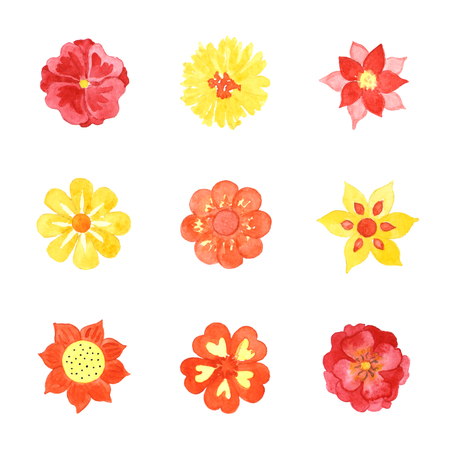 Set of Various  Blooming Flowers Isolated on White Backgroundの写真素材