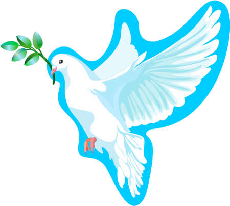 This is a white dove of peace, it is keeping the a green branchのイラスト素材