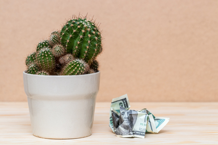 Cactus in white pot and Crumpled up dollar bill on wooden surface. The sad story of dollar domination in the desert of world tradeの写真素材