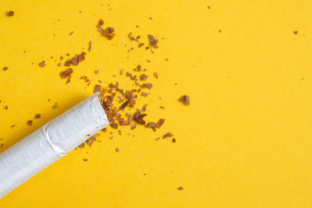 A crumpled cigarette with a row of scattered tobacco on a yellow background. Copy space.の写真素材