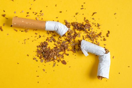 Broken cigarette in half with a row of scattered tobacco on a yellow background.の写真素材