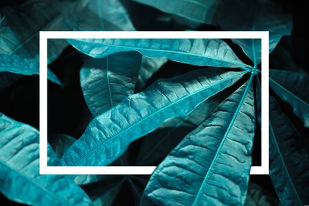 Classic blue background with leaves detail and rectangle. Color of 2020. Close up. Copy space.