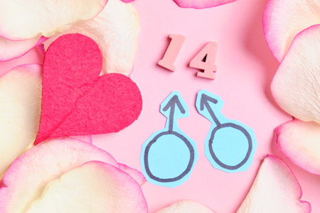 Valentine's day for LGBT - gay. 14 February. petals of white and pink. top view.