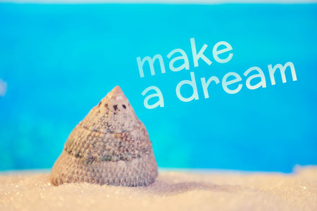 Triangular seashell in abstract sand against the background of a blurred sea. Close up.