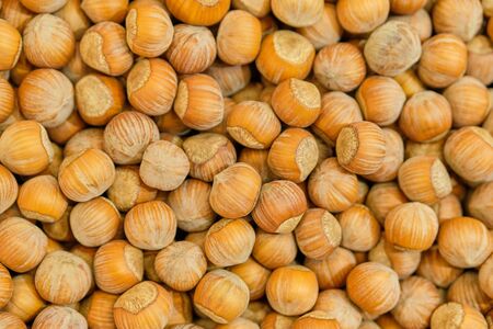 Background texture of hazelnut nuts. Top view. Close up.の写真素材