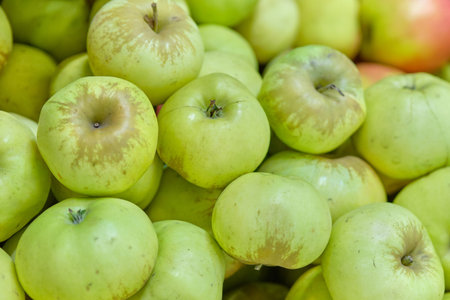 Background and texture of green apples. Close up.