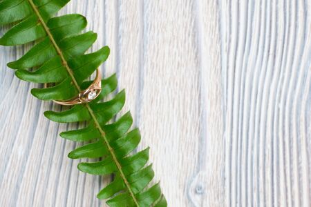 Wedding ring with a green branch on a wooden background. Top view. Close up.の写真素材